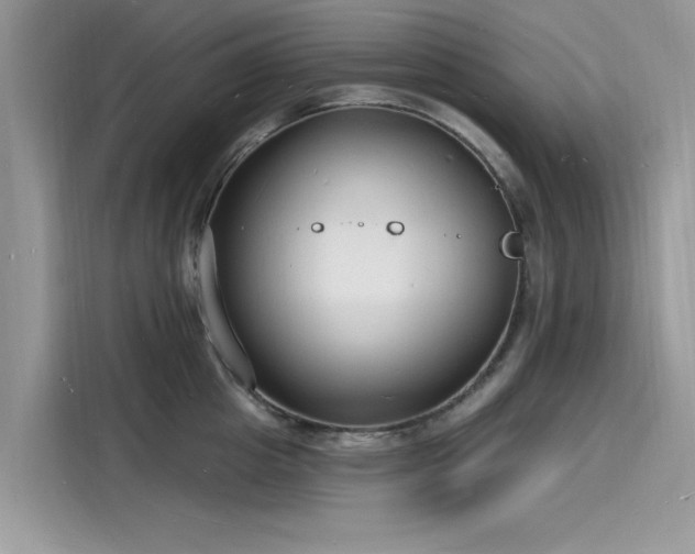 X0000116130857200911301345