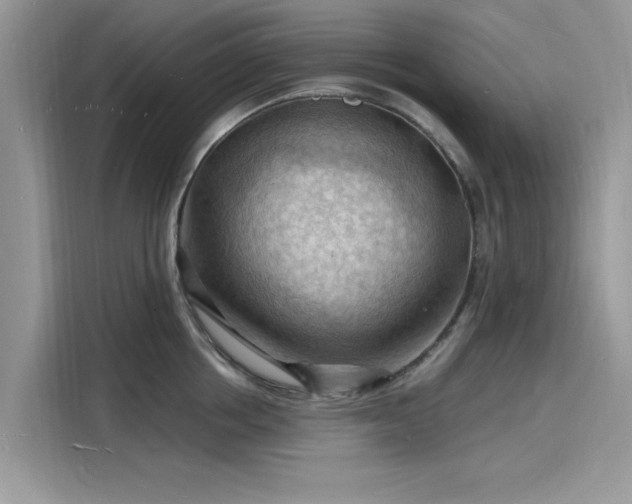 X0000116130858200911301345