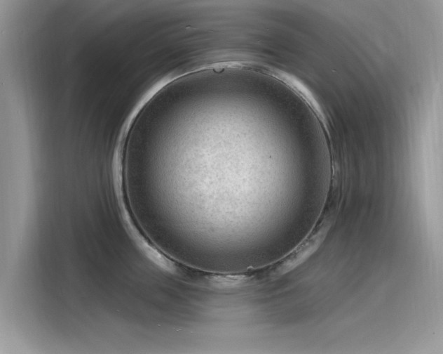 X0000116130859200911301345