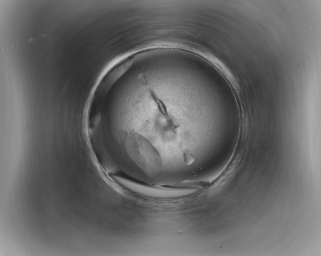 X0000116130862200911301346