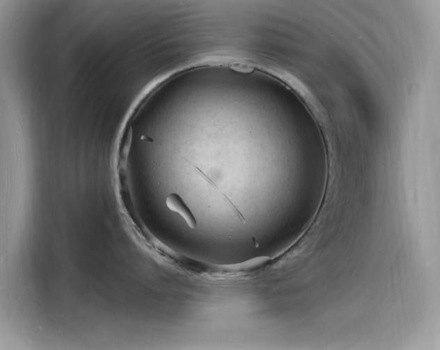 X0000116130864200911301346
