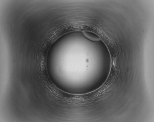 X0000116130867200911301345
