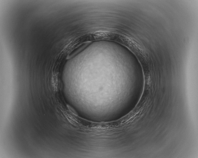 X0000116130868200911301345