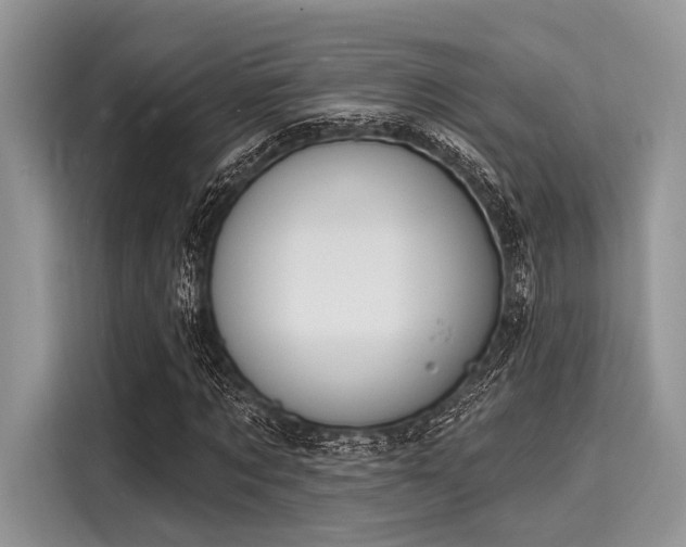 X0000116130869200911301345