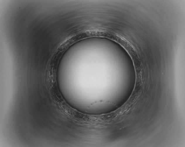 X0000116130870200911301345