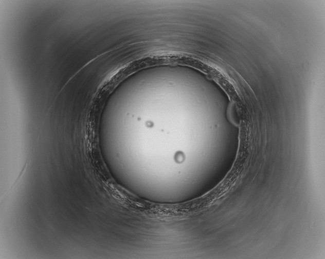 X0000116130871200911301345