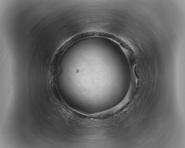 X0000116130872200911301345