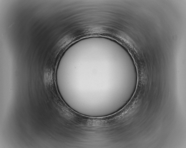 X0000116130873200911301345