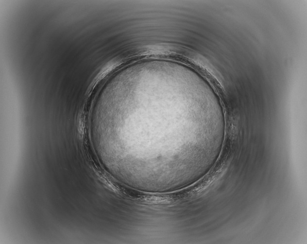 X0000116130874200911301345