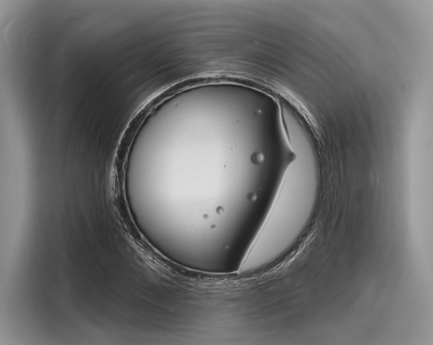 X0000116130876200911301345