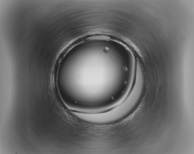X0000116130877200911301345