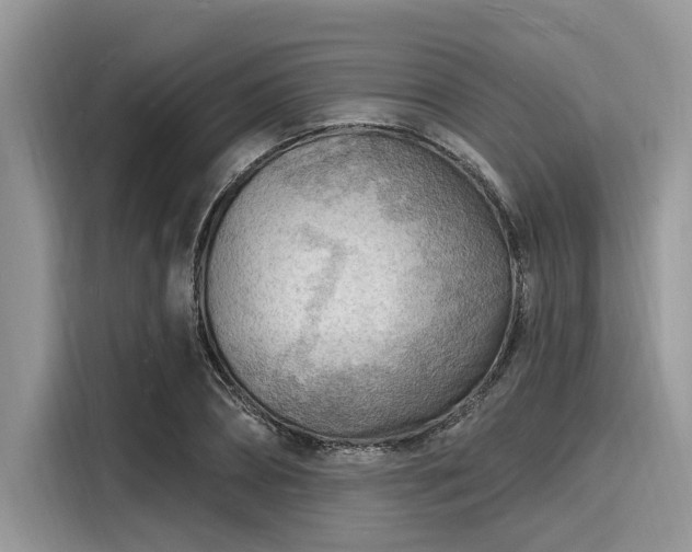 X0000116130882200911301345