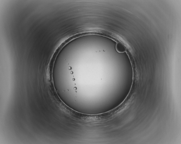 X0000116130883200911301345