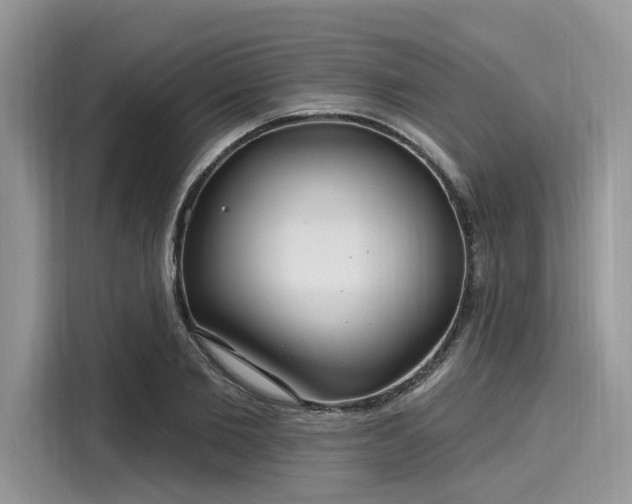 X0000116130885200911301345
