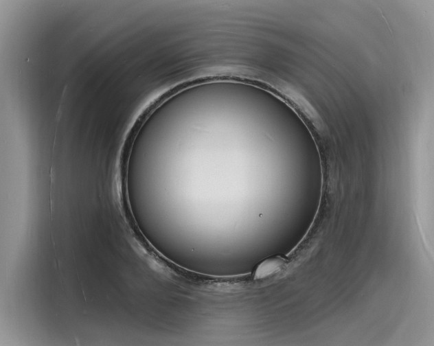 X0000116130888200911301345