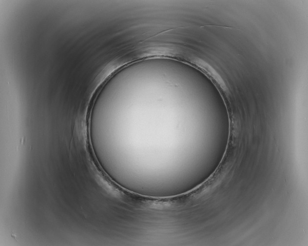 X0000116130890200911301345