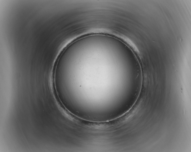 X0000116130895200911301345
