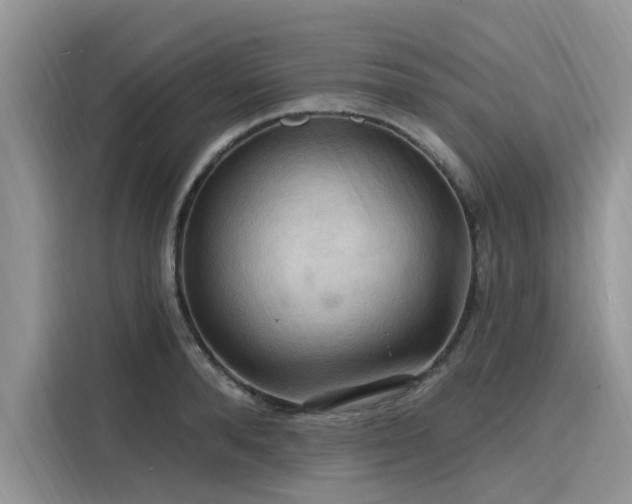 X0000116130896200911301345