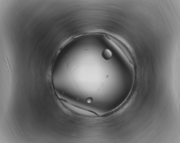 X0000116130897200911301345