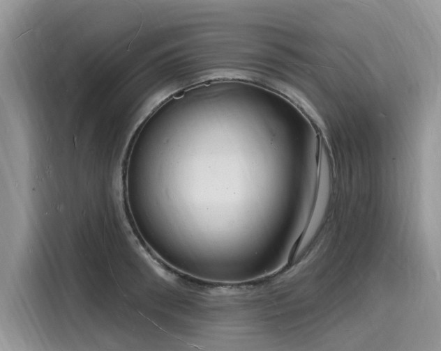 X0000116130898200911301344