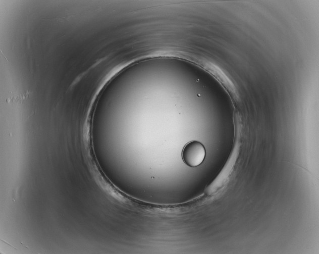 X0000116130900200911301344