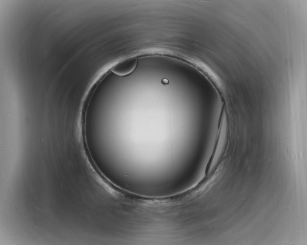X0000116130902200911301344