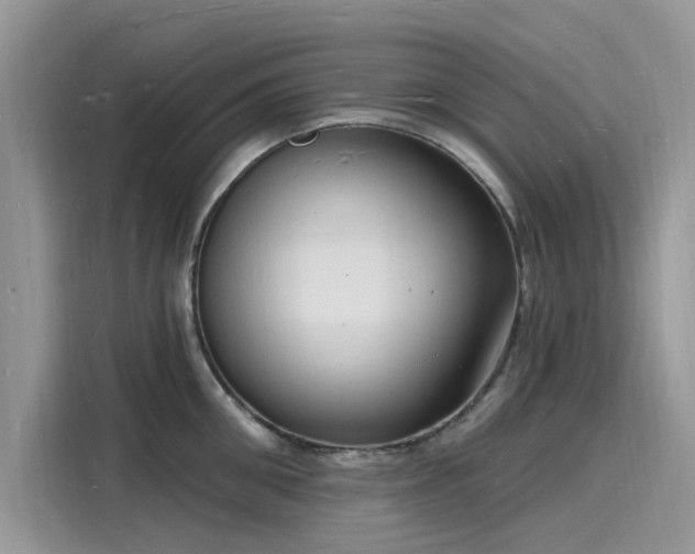 X0000116130906200911301344