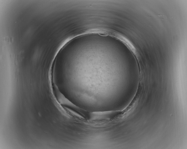 X0000116130907200911301344