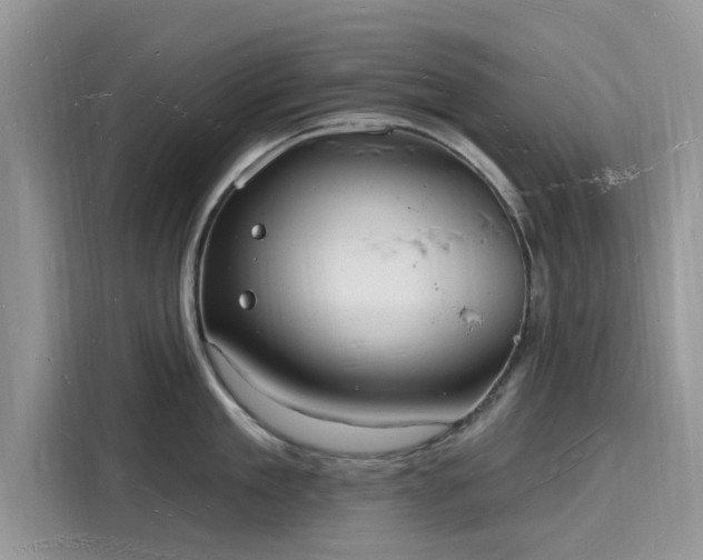 X0000116130909200911301344