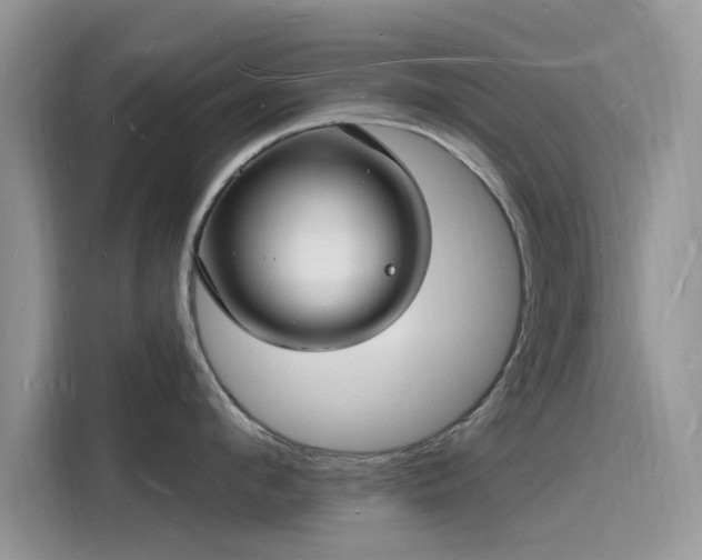 X0000116130912200911301344