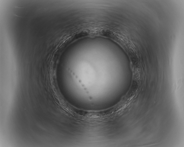 X0000116130913200911301344