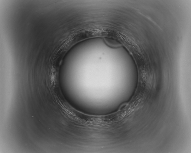 X0000116130914200911301344