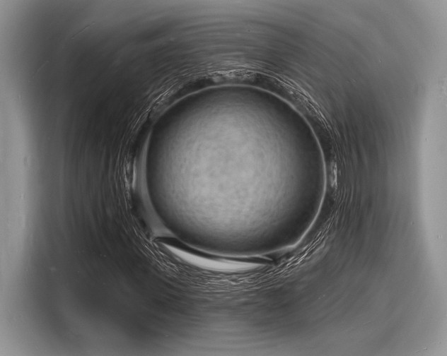 X0000116130915200911301344