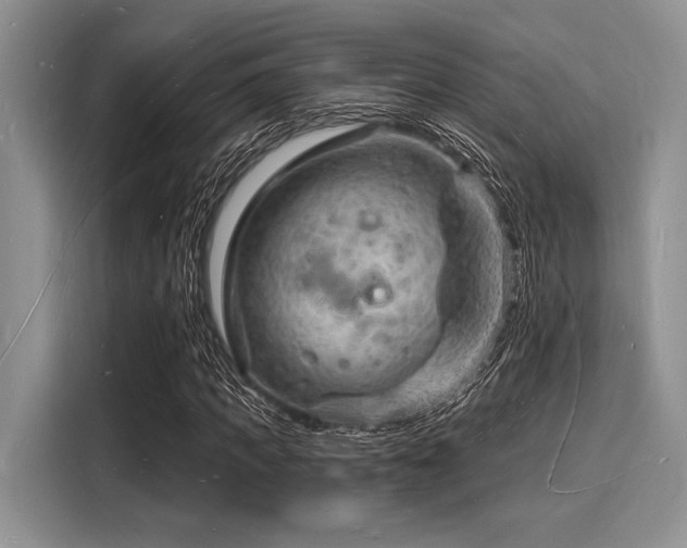 X0000116130917200911301344