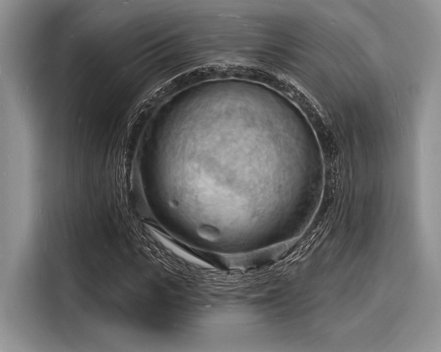 X0000116130919200911301344