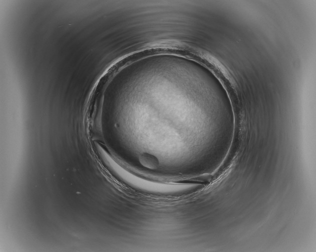 X0000116130923200911301344