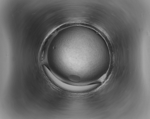 X0000116130925200911301344