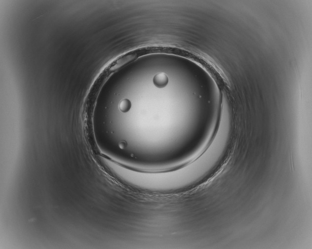 X0000116130926200911301344