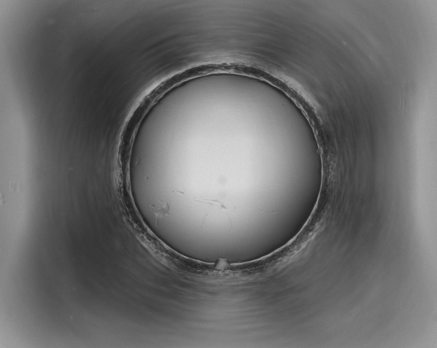 X0000116130927200911301344