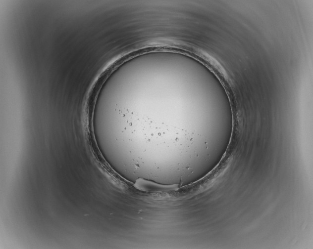 X0000116130931200911301344