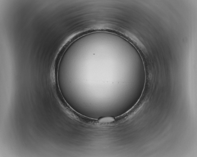 X0000116130934200911301344