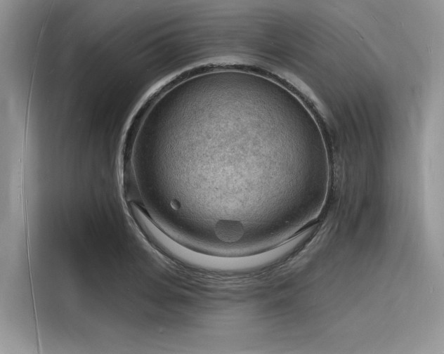 X0000116130935200911301344
