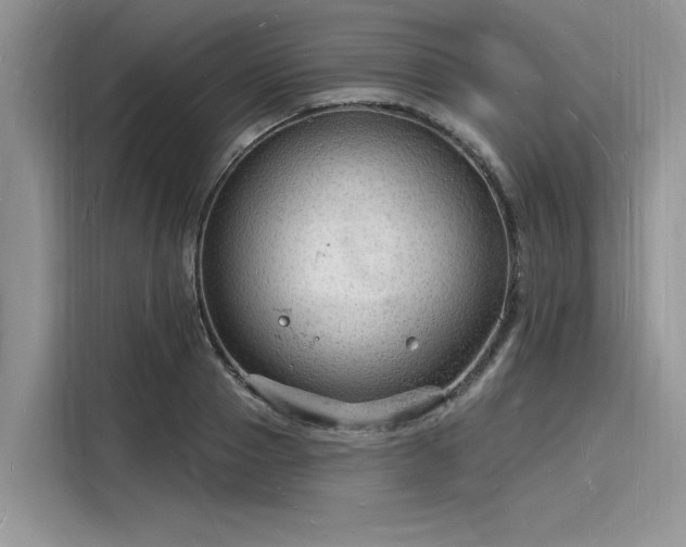 X0000116130937200911301344