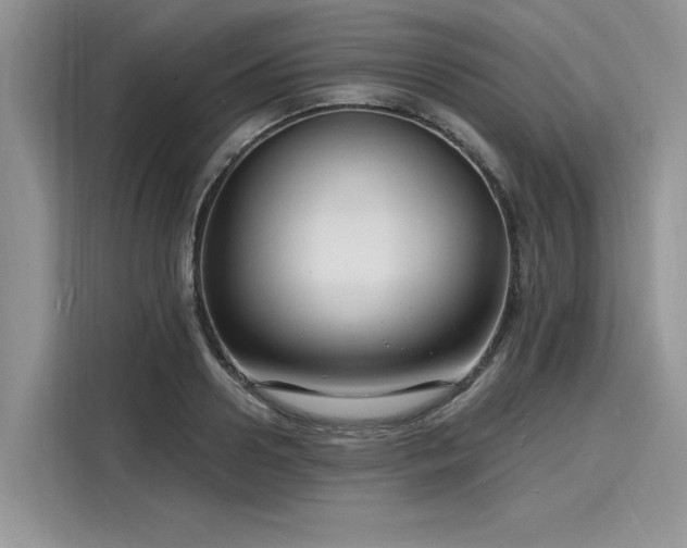 X0000116130938200911301344