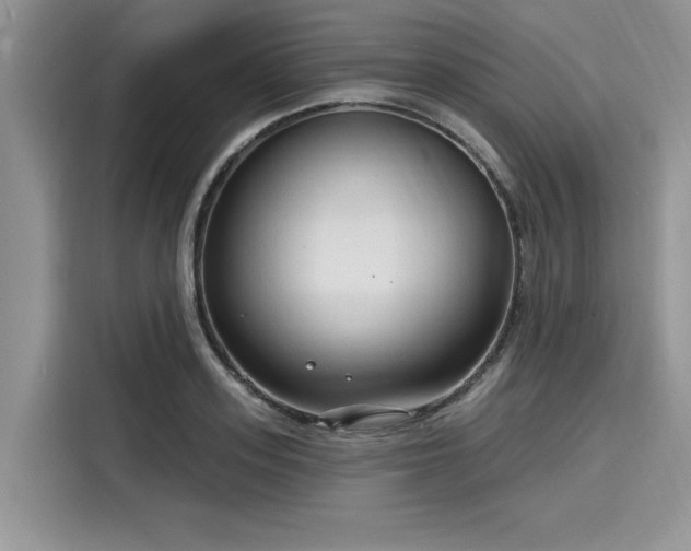 X0000116130939200911301344