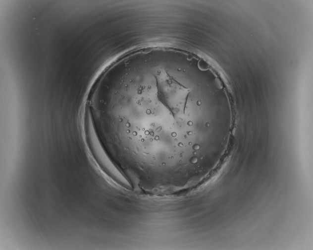 X0000116130941200911301344