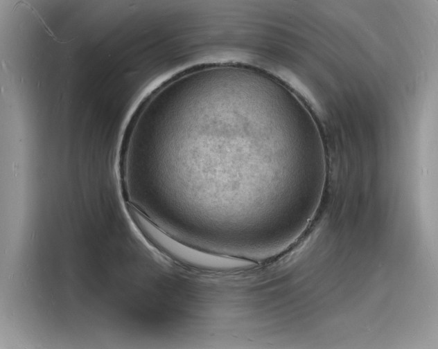 X0000116130943200911301344