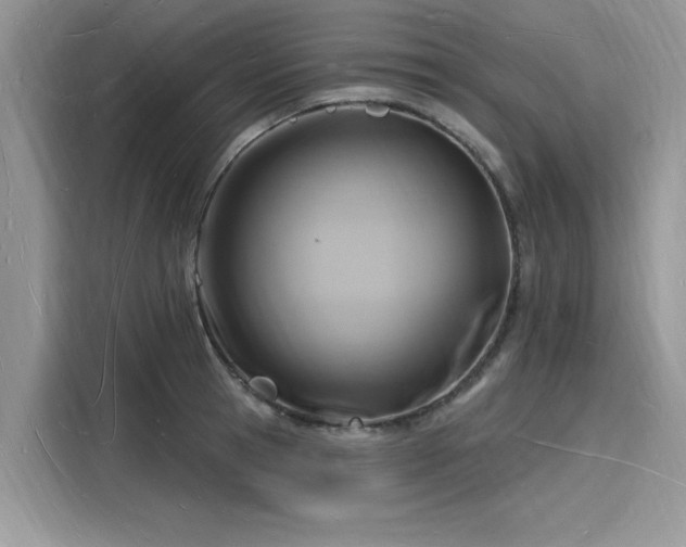X0000116130945200911301344