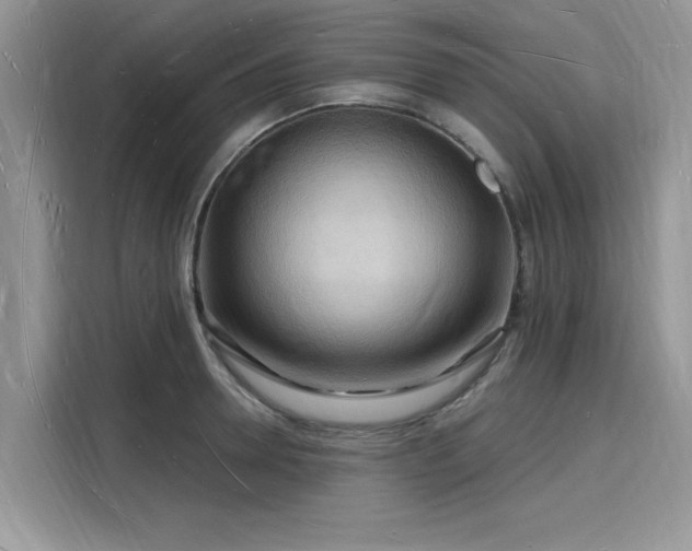 X0000116130946200911301344