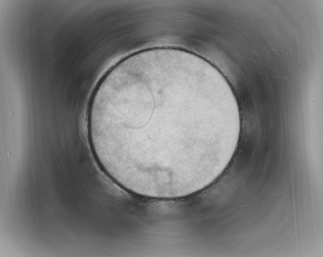 X0000116130950200911301344
